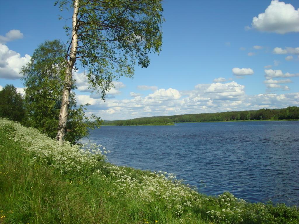 Pajala Cottages Route 99 Exteriör bild